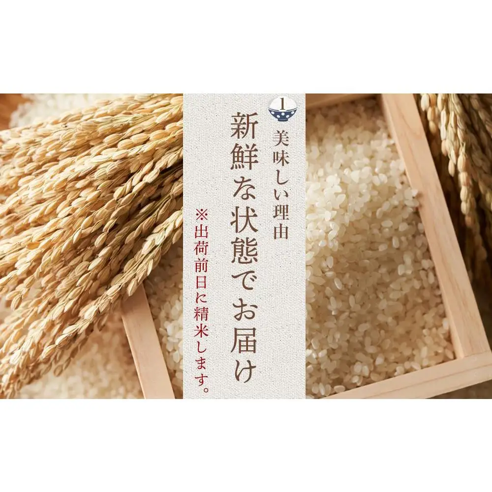 【令和7年産】福岡県産 米 夢つくし 15kg セット ( 5kg×3袋 ) | 米 お米 こめ 白米 精米 ライス ブランド米 美味しい ご飯 おいしい ごはん