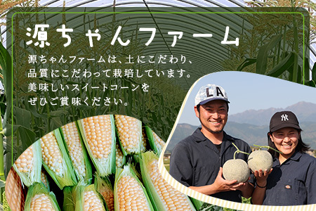 【数量限定】多良木町産 スイートコーン 約 2kg (6～7本) 5月上旬～順次配送 ゴールドラッシュ 一番果 甘い トウモロコシ 旬の味覚 産地直送 コーン とうもろこし 熊本県 089-0690
