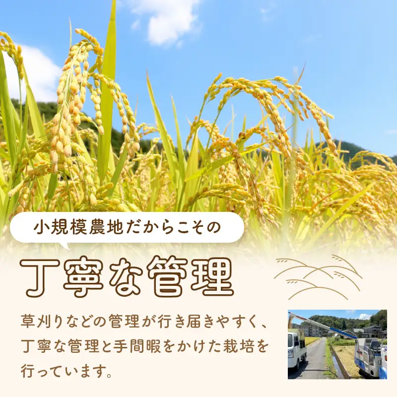 【先行予約】丹後弥栄産コシヒカリ（玄米10kg）