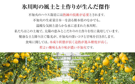 福岡農園 不知火 2kg《1月上旬-1月末頃出荷》熊本県 氷川町 柑橘 果物 フルーツ