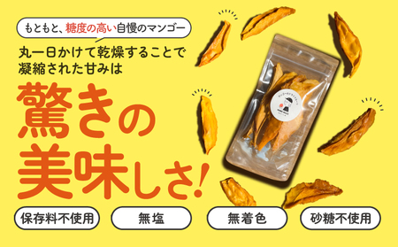 【先行受付】田中 マンゴー園 が作った マンゴー の ドライフルーツ 40g×3袋 W001-013-03 果物