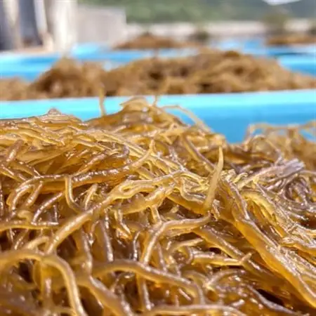 伊平屋島で獲れた味付けもずく 260g×8袋【配送不可地域：離島】【1518190】