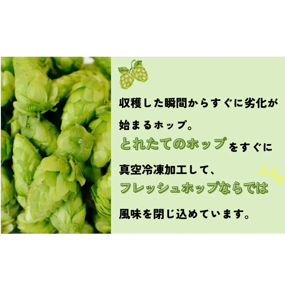 石巻クラフトビール 缶 巻風エール 3本セット クラフトビール 370ml 3本 セット クラフト ビール beer 缶ビール 宮城県 石巻市 まきかぜエール 国産 お中元 お歳暮 内祝い