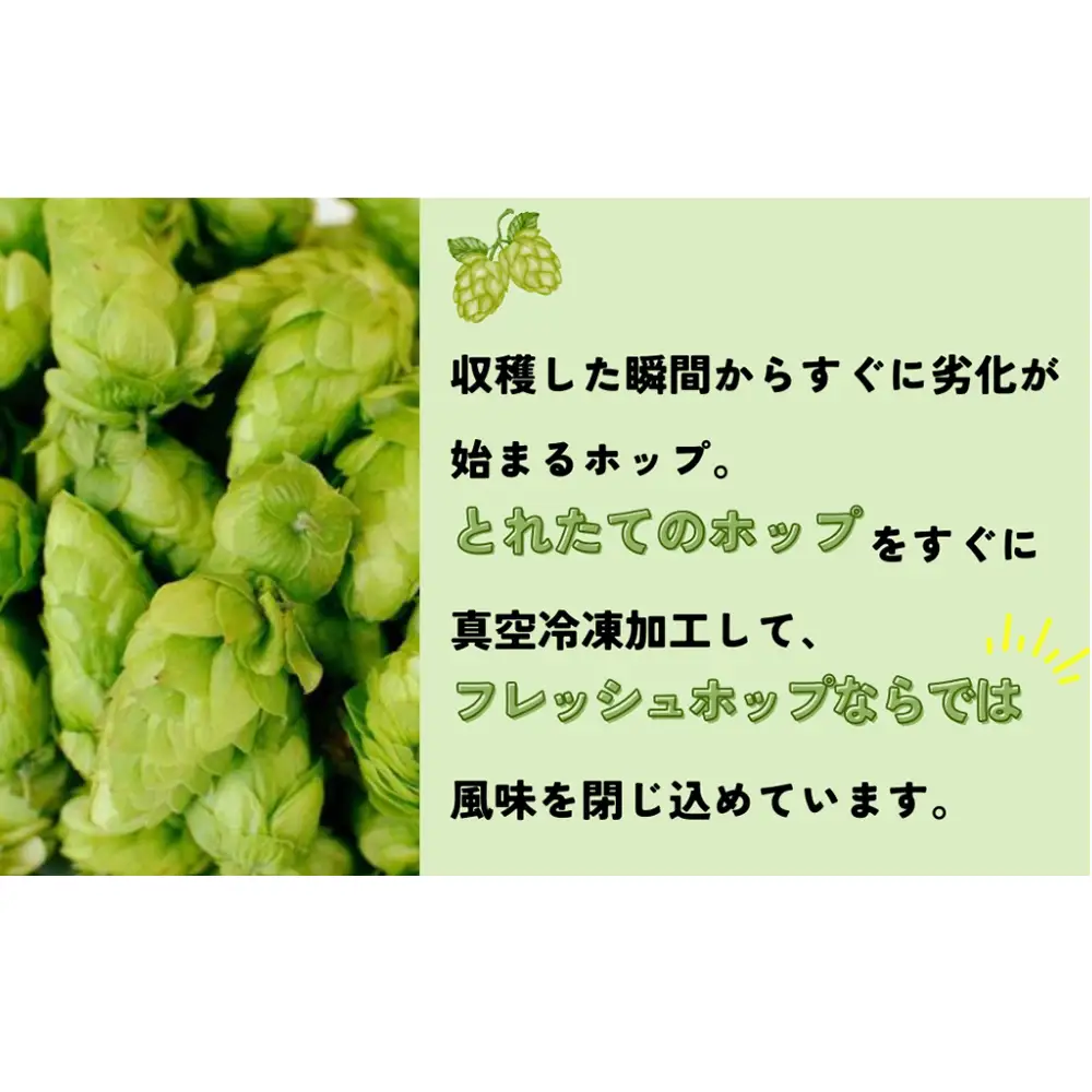 石巻クラフトビール 缶 巻風エール 6本セット クラフトビール 370ml 6本 セット クラフト ビール beer 缶ビール 宮城県 石巻市 まきかぜエール 国産 お中元 お歳暮 内祝い