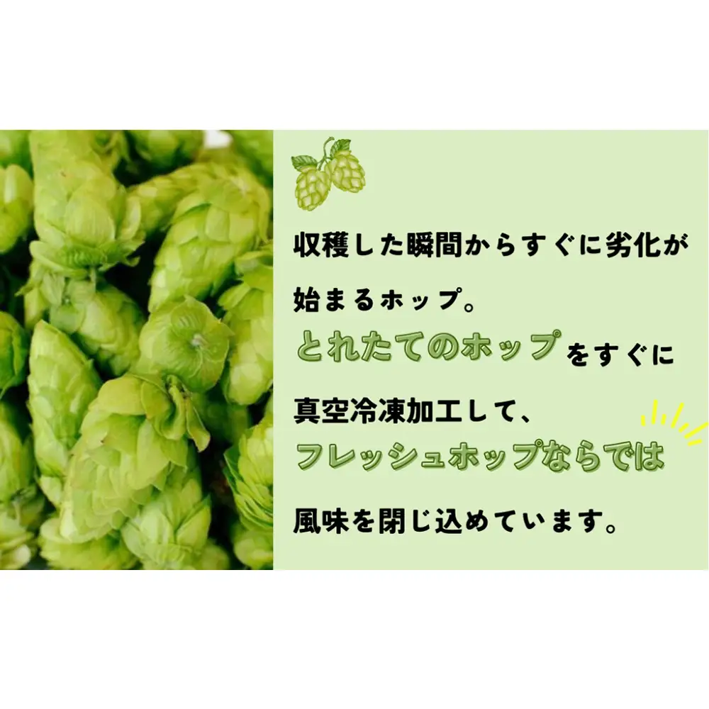 石巻クラフトビール 缶 巻風IPA 3本セット クラフトビール 370ml 3本 セット クラフト ビール beer 缶ビール 宮城県 石巻市 国産 お中元 お歳暮 内祝い