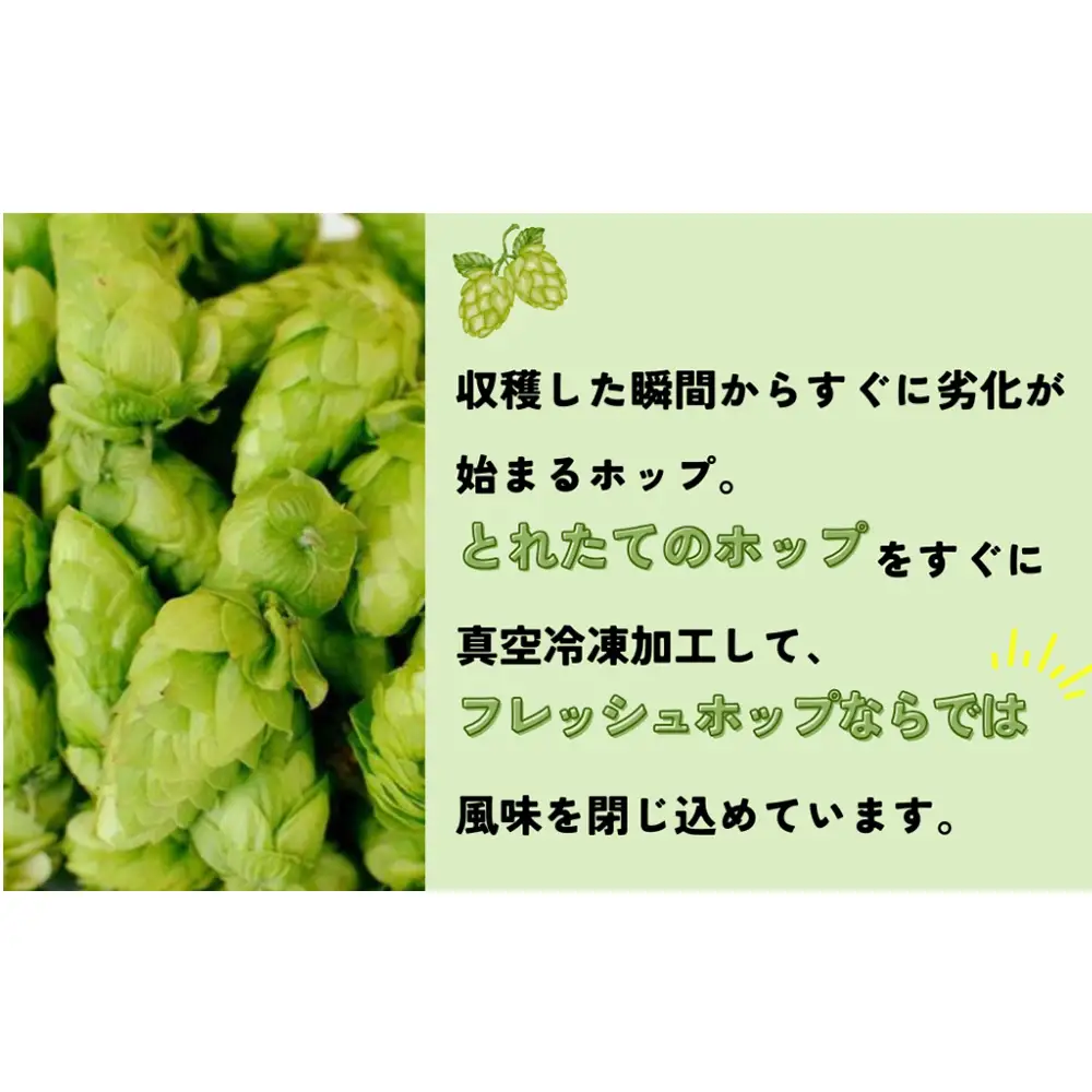 石巻クラフトビール 缶 巻風IPA 6本セット クラフトビール 370ml 6本 セット クラフト ビール beer 缶ビール 宮城県 石巻市 国産 お中元 お歳暮 内祝い