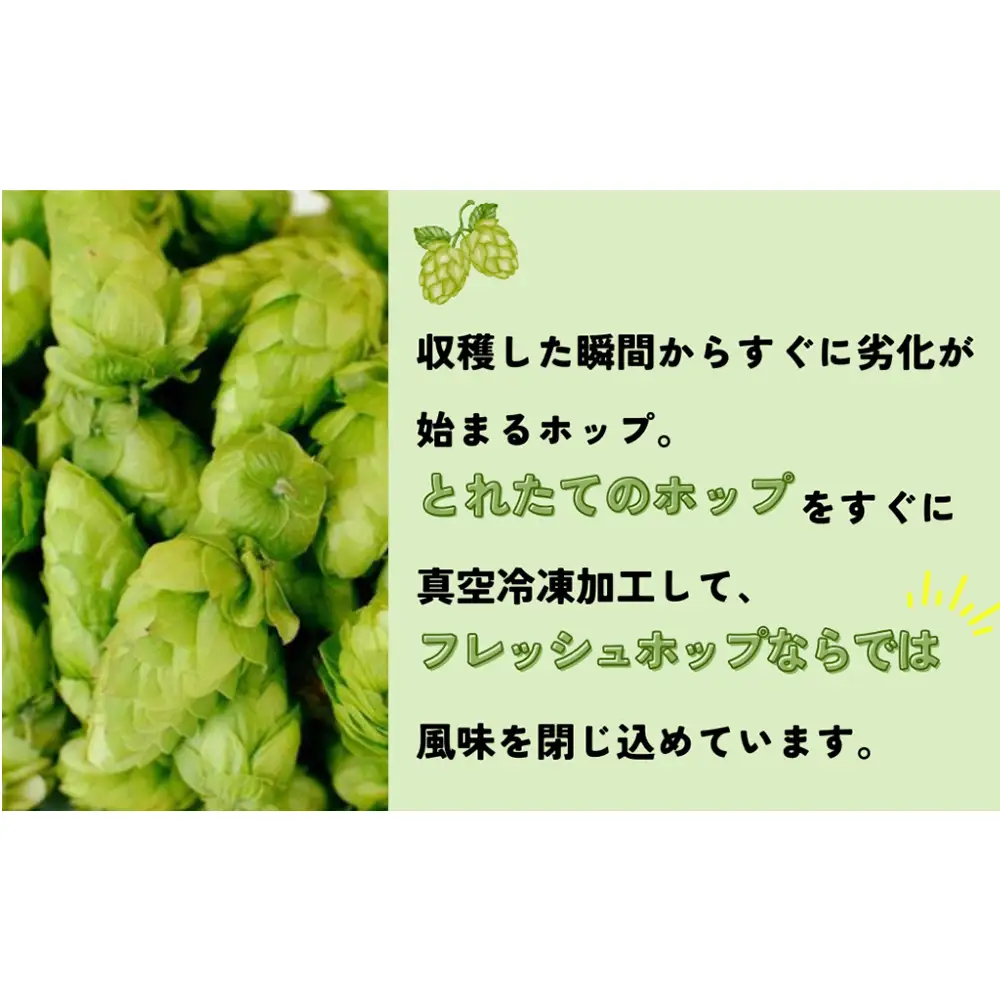 石巻クラフトビール 缶 巻風WEIZEN 3本セット クラフトビール 370ml 3本 セット クラフト ビール beer 缶ビール 宮城県 石巻市 国産 お中元 お歳暮 内祝い