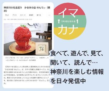 神奈川新聞 「カナロコ読み放題コース」（6ヵ月） AND0005