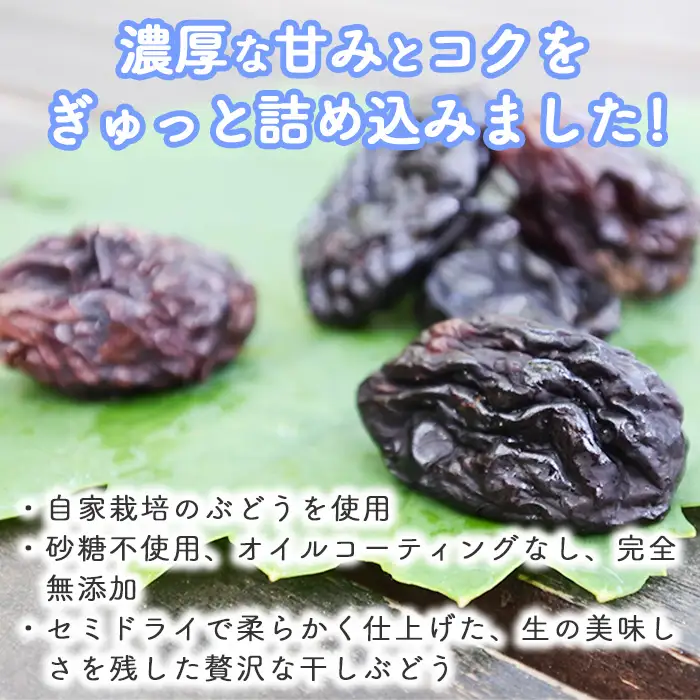 【秀果園】ぶどう農家のセミドライぶどう5品種5袋 250g (各50g)|巨峰、シャインマスカット、ナガノパープルなど　レーズン 砂糖不使用 無添加