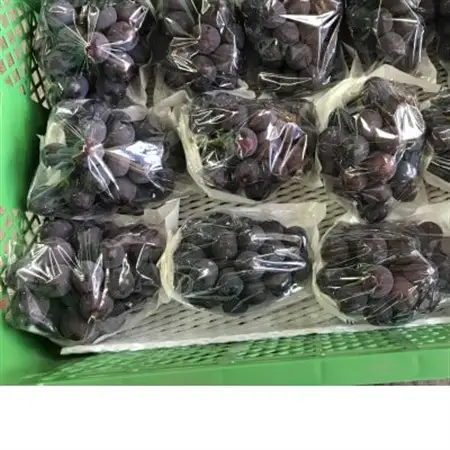 新鮮・朝採り後即出荷!　岡山県　吉備高原産ニューピオーネ　1房入り(700g以上)贈答品【1299810】