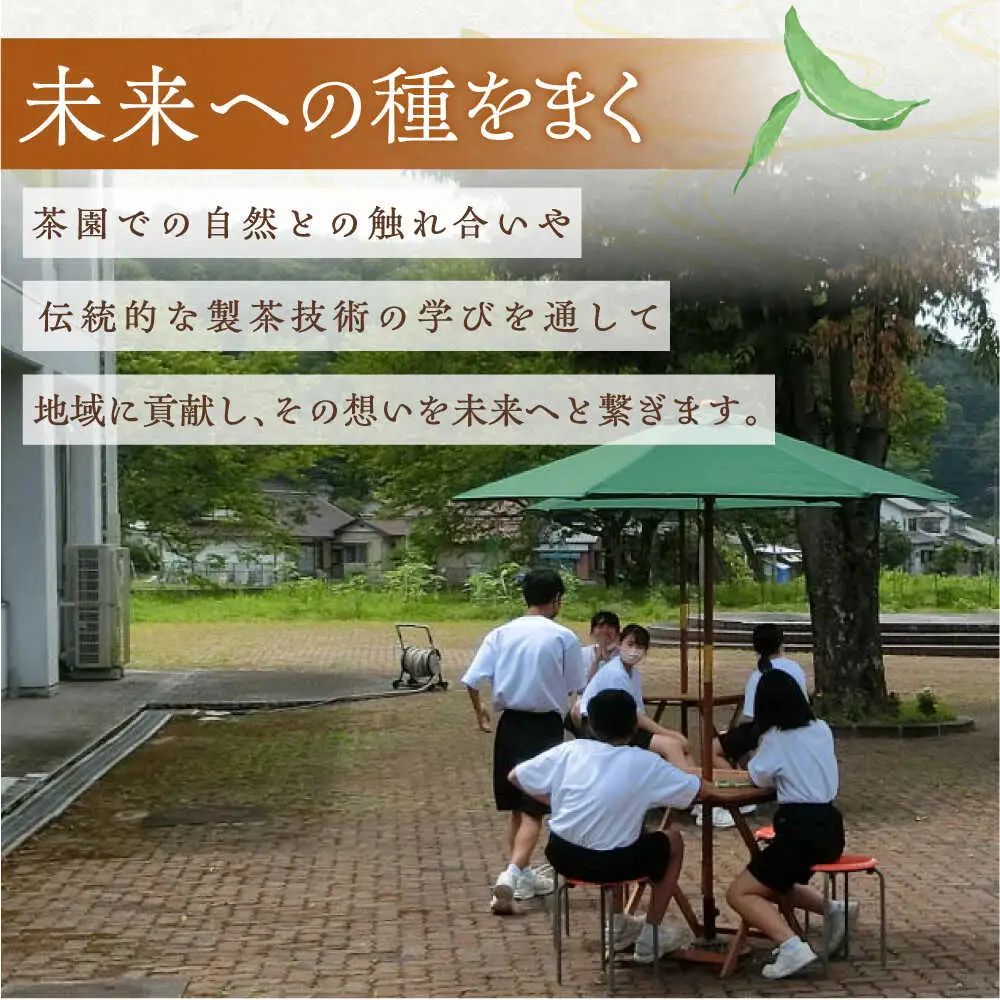 舳五山茶　かりがね1200g / 緑茶 茶葉 茶ば お茶 茶摘み / 御嵩町 / 舳五山茶園委員会[AVAD005]