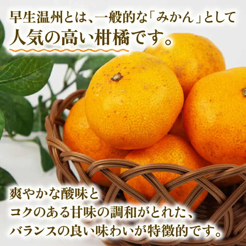 訳あり 早生温州 9kg まる玉農園 訳あり B010-172004