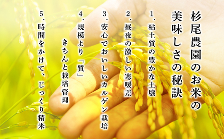【受賞米】コシヒカリ 精米 5kg 小分け こしひかり CD004
