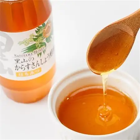 里山のからすさんしょう蜂蜜300g【配送不可地域：離島・北海道・沖縄県】【1417966】
