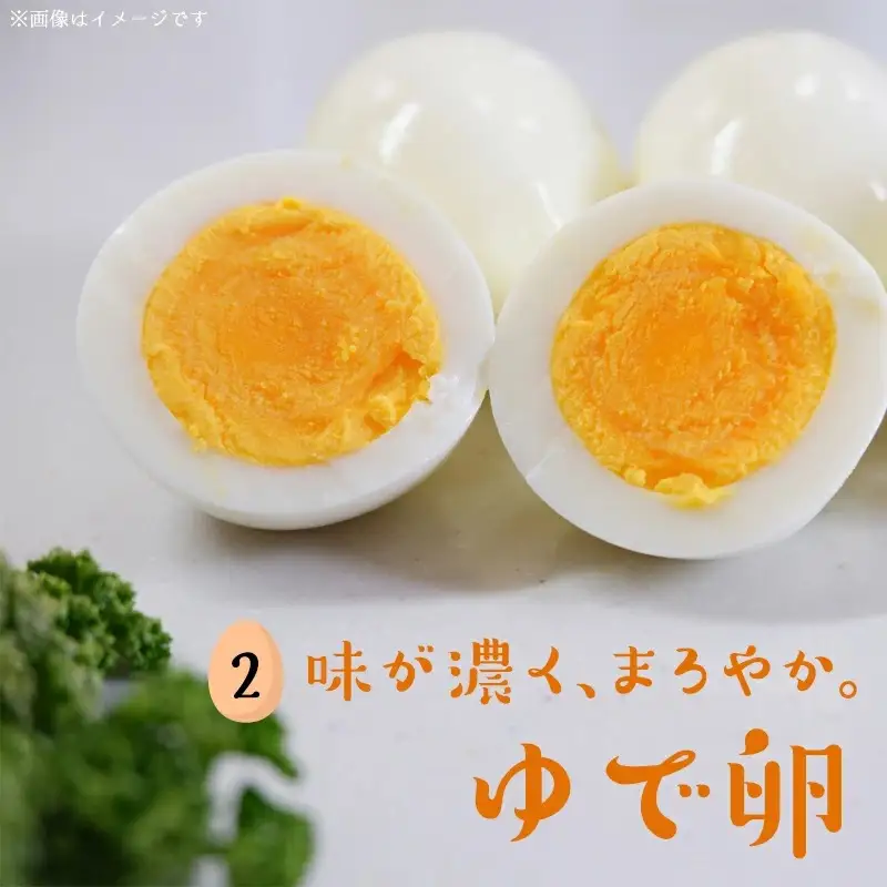 新鮮赤卵「きみ恋卵」60個〔11-29-011-60〕_(都城市) 赤玉子 Mサイズ 60個 きみ恋卵 冷蔵 チルド 赤たまご 河中農園 取れたて新鮮たまご タマゴ たまご 鶏卵 お菓子作りにも最適
