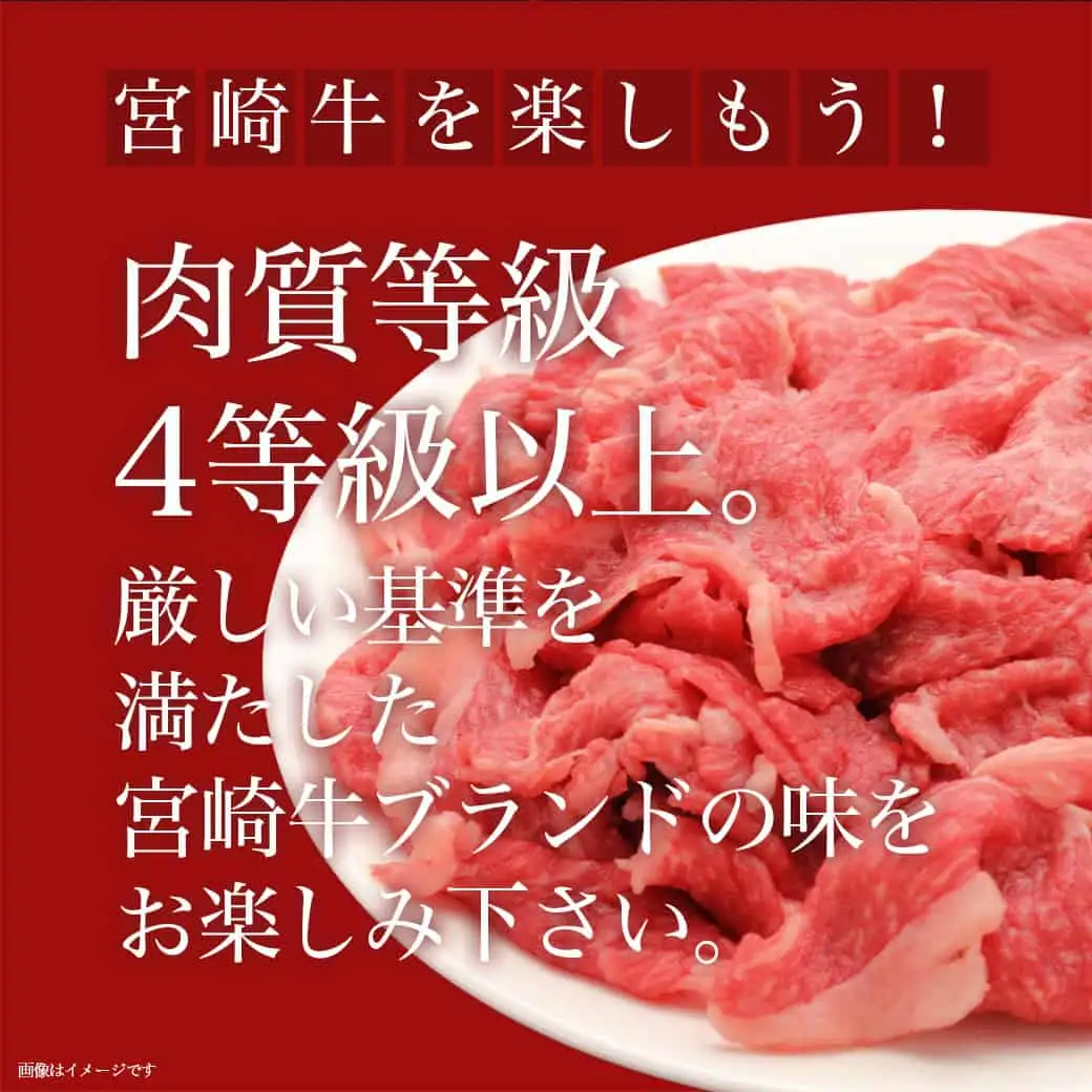 宮崎牛赤身切り落とし500g〔AA-8908〕_(都城市) 国産黒毛和牛 ブランド牛 牛肉 宮崎牛切落とし 500グラムパック 肉じゃが すきやき 牛丼や炒め物などに 万能 冷凍 国産 九州産 宮崎県産 都城産