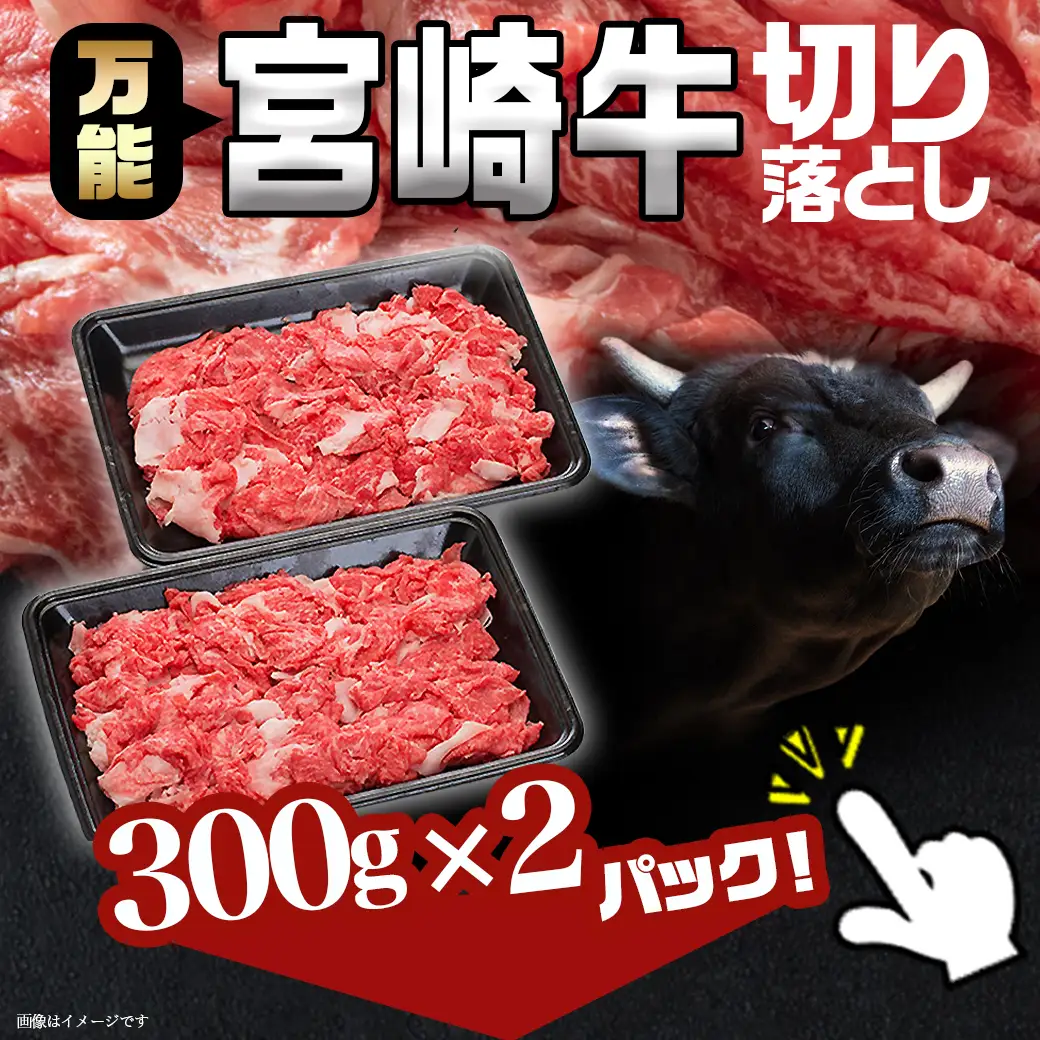 宮崎牛切り落とし600g〔AA-89-006-600g〕_(都城市) 国産黒毛和牛 ブランド牛 牛肉 宮崎牛切落とし肉 300g×2パック 計600グラム 牛丼や炒め物などに 万能 冷凍 国産 九州産 宮崎県産 都城産