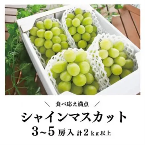 シャインマスカット 3-5房/計2kg～ (岡山県産) 果樹園こだわりの「きよとう」シャイン!【配送不可地域：離島】【1548980】