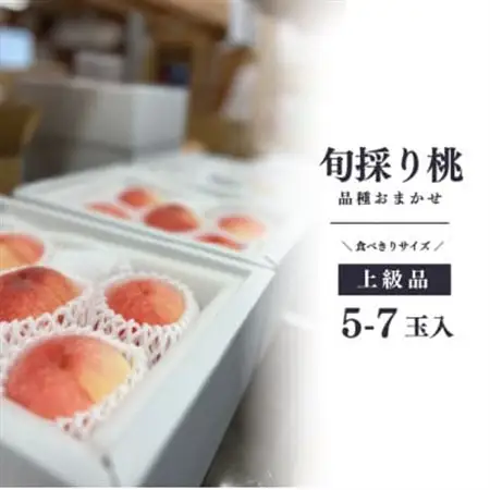 旬採り桃(品種おまかせ) 上級品/5-7玉 (岡山県産) 珍しい品種の桃をモモ好きのあなたに!【配送不可地域：離島】【1571589】