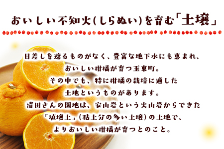 『清晃アグリ』のご家庭用不知火(しらぬい)約4kg(L-4Lサイズ)《3月上旬-3月末頃出荷》