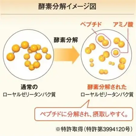 【毎月定期便】酵素分解ローヤルゼリー CoQ10(5935)全3回【配送不可地域：離島・北海道・沖縄県】【4008982】