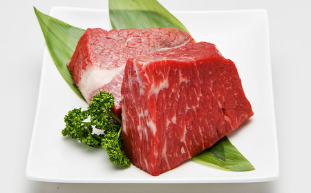 赤崎牛 【赤身レンガステーキ】（約600g）【冷蔵】 レンガ ステーキ 肉 ステーキ肉 赤身 冷蔵