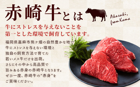 【3回定期便】 赤崎牛 【赤身レンガステーキ】（約600g×3回 合計約1.8kg）【冷蔵】 レンガ ステーキ 肉 ステーキ肉 赤身 定期便 冷蔵