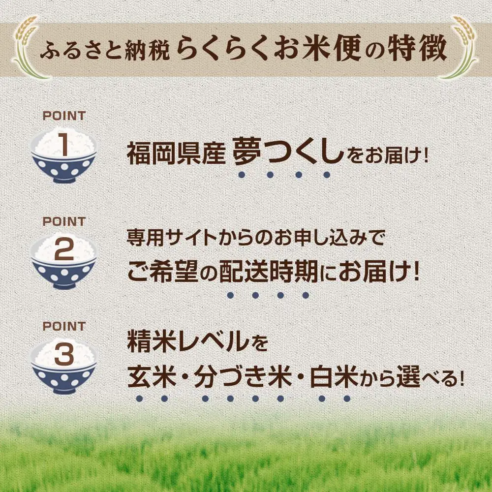 【福岡県産夢つくしをお届け】ふるさと納税 らくらくお米便 30kgコース