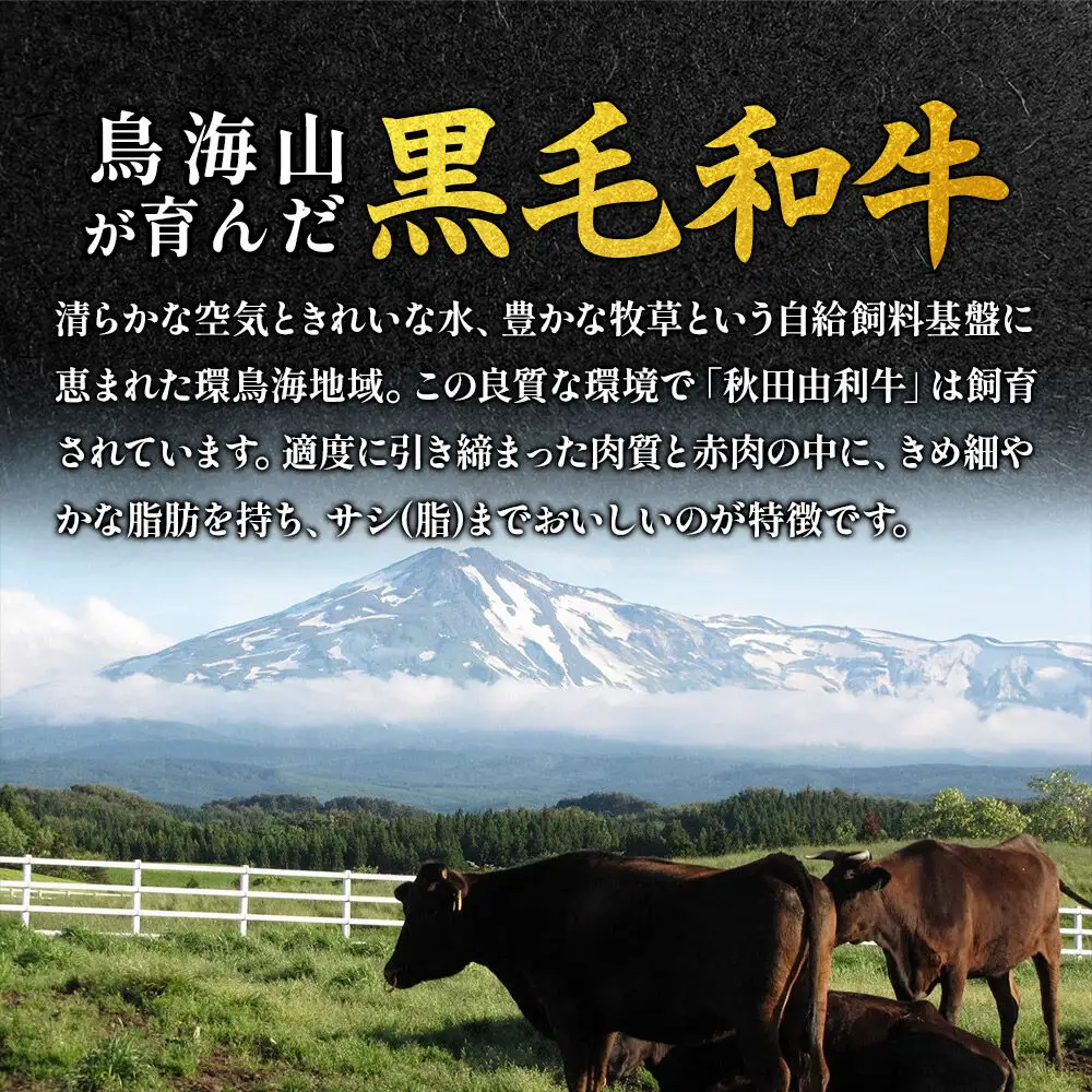 秋田由利牛 すき焼き用 肩ロース 200g（200g×1パック）