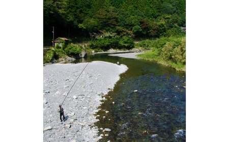 安田川 年間遊漁券（2026年） 高知県 馬路村 釣り 鮎