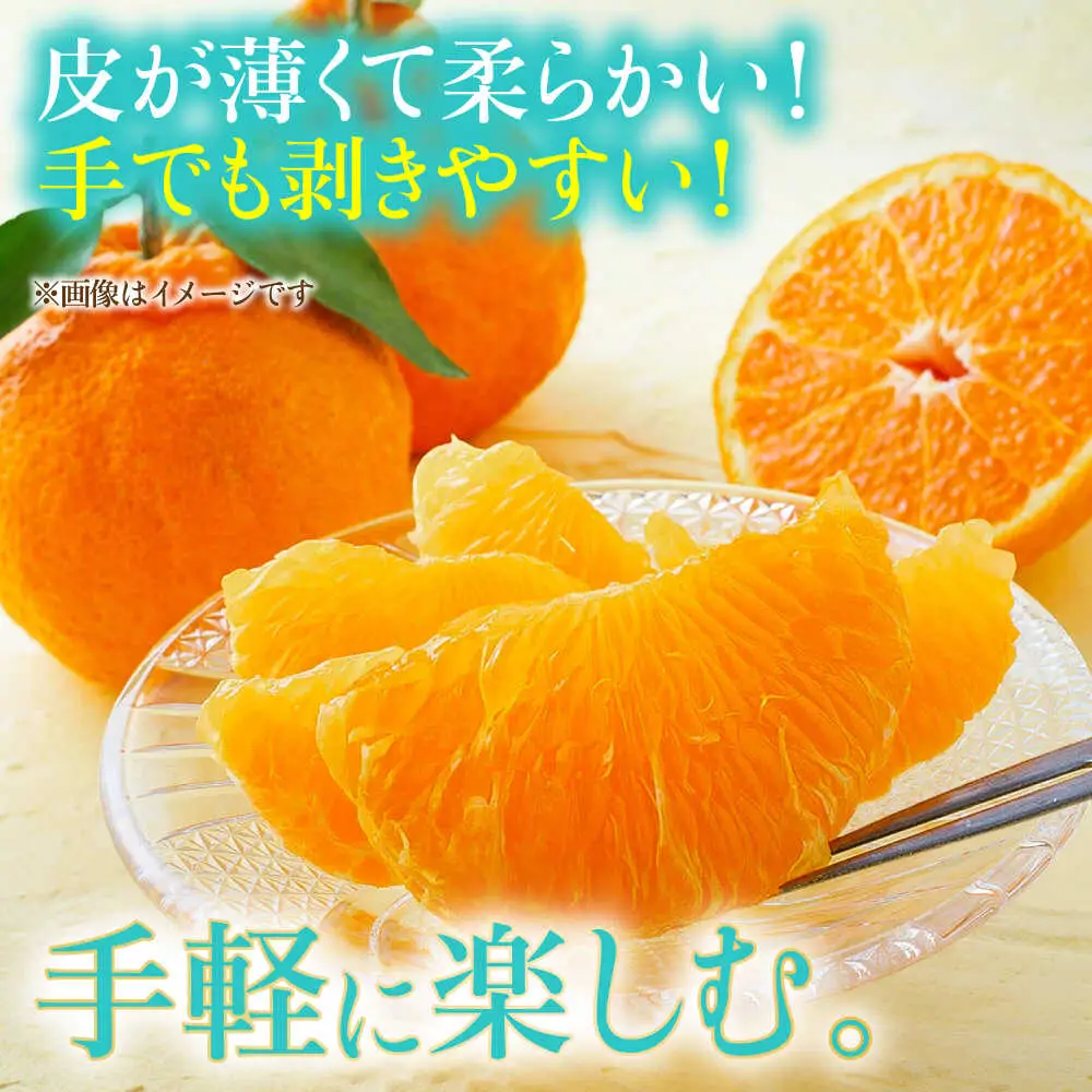 【先行予約】不知火 約5kg 柑橘 蜜柑 みかん フルーツ 【日本フルーツ株式会社】 [ZFJ002]