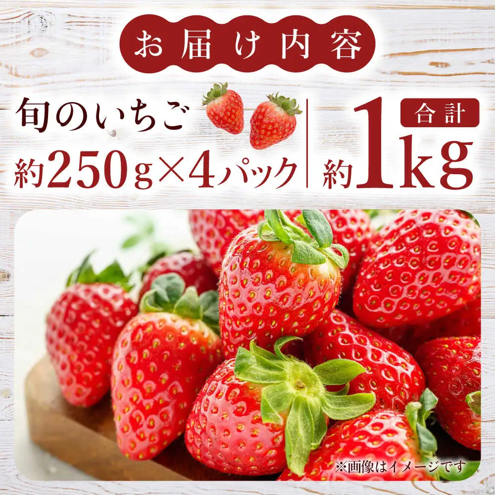 【先行予約】熊本県産いちご 約１kg（250g×4pc） イチゴ フルーツ 果物 熊本県産 熊本【日本フルーツ株式会社】 [ZFJ009]