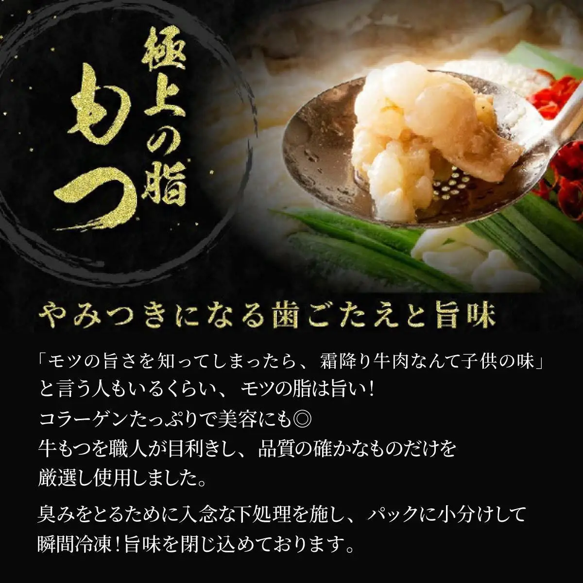 ＜最短10営業日以内発送＞2～3人前 絶品塩もつ鍋セット（300g）