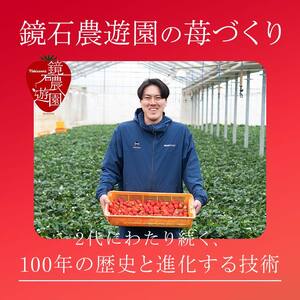 【先行予約】香りが強い！福島県オリジナル品種「ふくはる香」 2L～3L 約500g（約250g×2パック） いちご イチゴ 苺 福島県 鏡石町 鏡石農遊園 F6Q-527