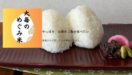 【新米受付・令和8年産米】新潟県村上市産　コシヒカリ「大毎のめぐみ米」5kg　1093003N