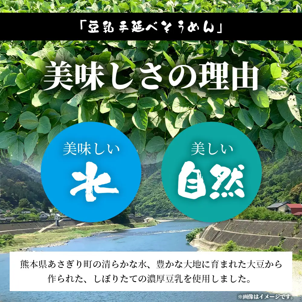 熊本県産 濃厚豆乳を使った 「 豆乳手延べ そうめん 」 180g×4袋（8人前）涼 麺 暑さ 対策 素麺 ソーメン ヘルシー 豆乳 濃厚 大豆 栄養 美容 115-0506