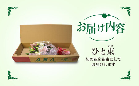 【先行予約】【2026年11月より順次発送】6代続く花農家より直送! 石井農園の「季節の花束」 SMCM001 / ふるさと納税 花 花束 季節 旬 お祝い フラワー ギフト 母の日 誕生日 記念日 千葉県 山武市
