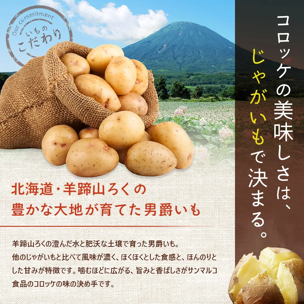 【サンマルコ食品】コロモアコロッケチーズ全3種計24個セット【07000401】