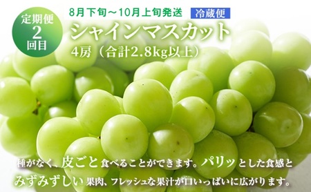フルーツ 定期便 【2027年 先行予約】 晴れの国 おかやま の 白桃 2kg(5玉～7玉) シャインマスカット 4房(合計2.8kg以上) 岡山県産 国産 セット ギフト
