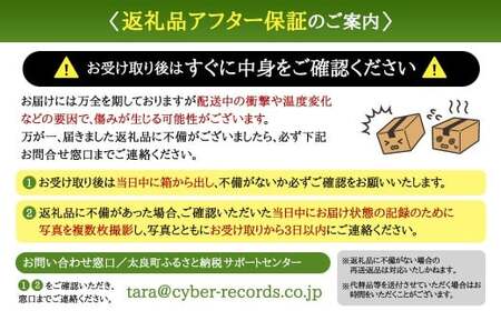 佐賀県太良町産 牟田農園の春の新玉ねぎ 5kg （S～L） 【2027年4月上旬～6月上旬発送予定】 たまねぎ タマネギ 野菜 新玉ねぎ 玉ねぎ 佐賀県 太良町 農家直送 M108x1