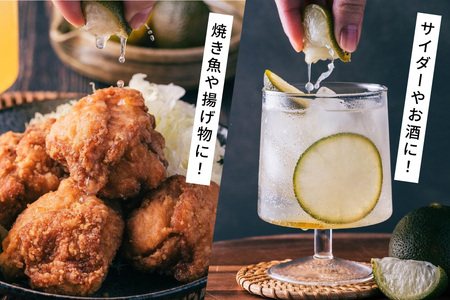 へべす 100% 果汁 2本 醤油 1本 計3本 セット