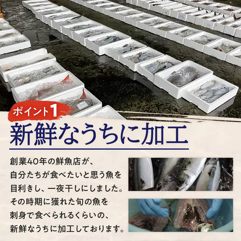季節の 一夜干し 詰合せ （6種） K294-001 魚 冷凍
