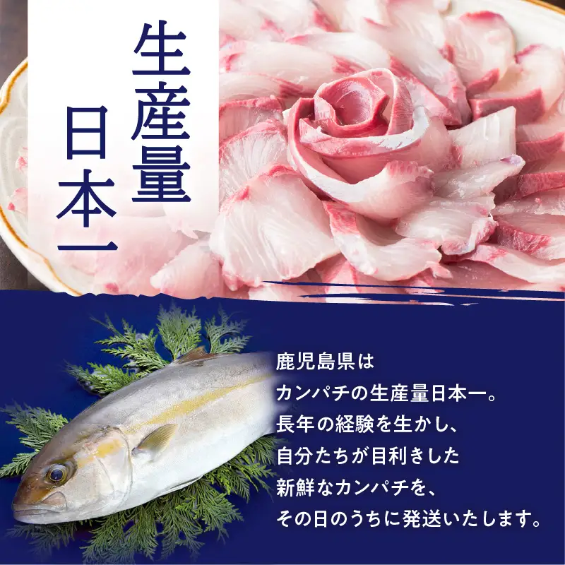 鹿児島県産 カンパチ 約3.5kg 刺身用 ブロック（ ロイン ） 活〆 ※ 真空包装 K294-003_03 魚