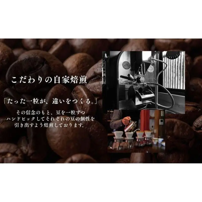 コーヒー 自家焙煎 3種セット 100g 3袋 珈琲豆 コーヒー 豆