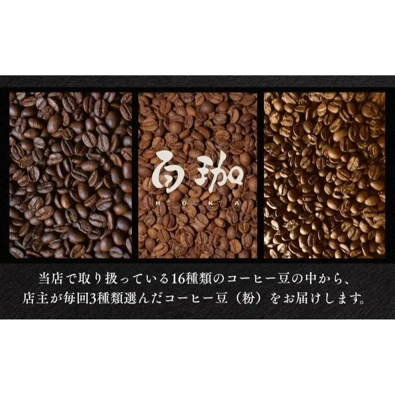【隔月6回お届け】自家焙煎コーヒー豆おまかせ3種セット（粉）【100g×3袋】
