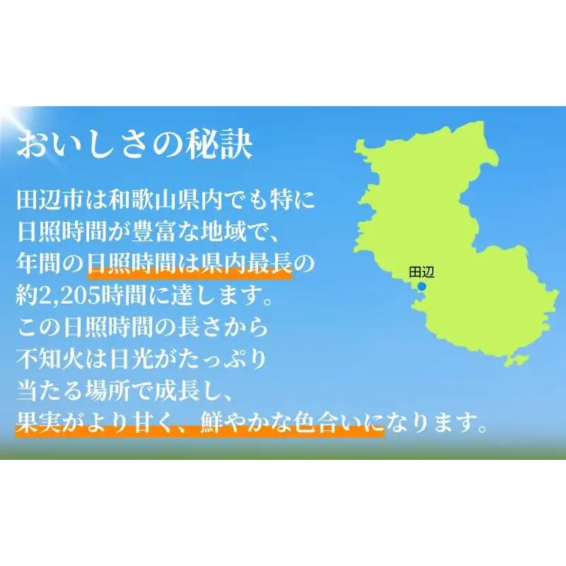 紀州田辺の 不知火 5kg（2027年3月頃から順次発送予定） / デコポン でこぽん 柑橘 和歌山 みかんランキング 果物 くだもの フルーツ 柑橘 産地直送 国産 和歌山 【tcs017-1】