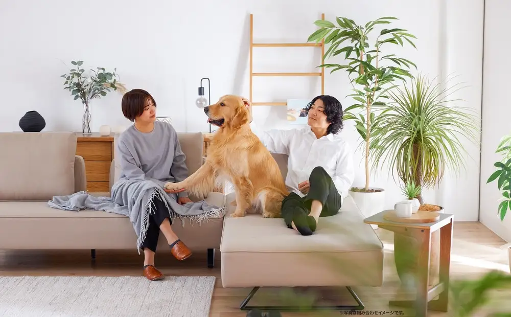 【本体取替カバー(同色)セット】 ミゲル ソファ 180cm 3人掛け スモークアイボリー【モーブル】【大川家具】