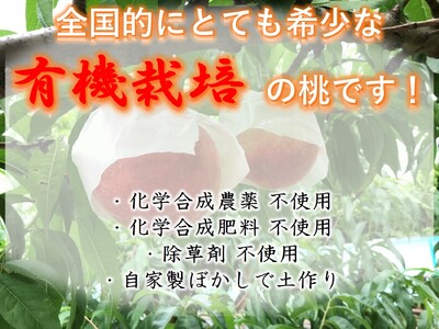 ＜2026年発送先行予約＞【有機栽培の美味しい桃約2kg 8月発送】自然に優しく希少でジューシーな天然桃(5～6個入)！ ALPEF015