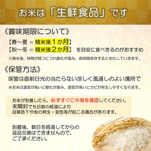 令和7年産 特別栽培米 雪若丸 計10kg (5kg×2袋) 『平農園』 山形南陽産 米 白米 精米 ご飯 農家直送 山形県 南陽市 [2039]