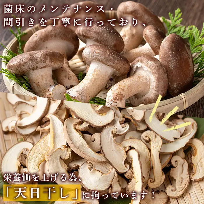 干し 椎茸 100g 乾燥 スライス 菌床栽培 国産 種子島 【えいぜっと】n328